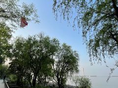 -上海吴淞炮台湾国家湿地公园