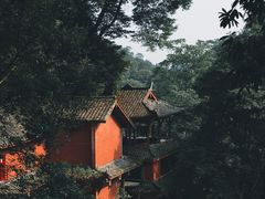 -青城山