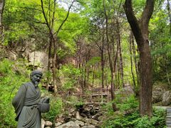 -王顺山国家森林公园