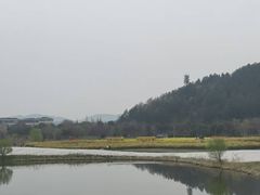 -径山花海