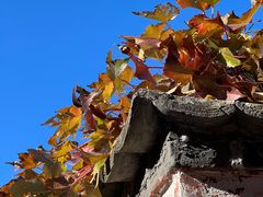 -北京西山国家森林公园
