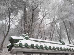 -妙峰山风景名胜区