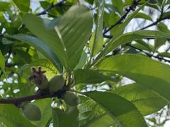 -九里河湿地公园