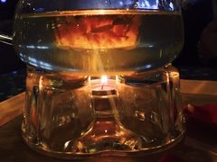 -吉丁鸟咖·异宠·寄养