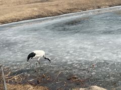 -沈阳森林动物园