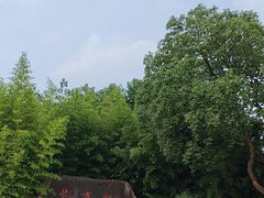 -敬亭山风景名胜区