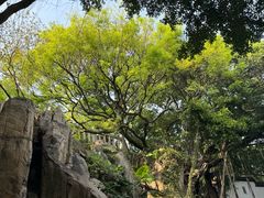 -乌山风景区