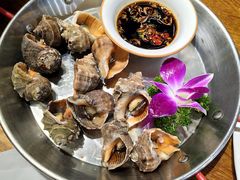 白灼海螺-必点海鲜·鲅鱼水饺(鞍山西道店)