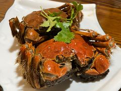 -呼吸森林·生态农庄农家乐私房菜