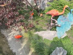 -上海野生动物园