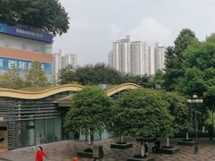 -龙头寺公园