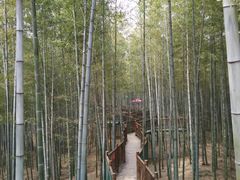 -陶祖圣境风景区