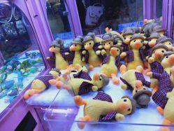 -龙小湖探索乐园 Little Hoo Galaxy(龙湖重庆金沙天街店)