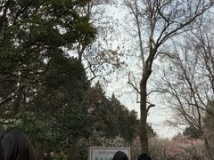 -东吴大帝孙权纪念馆