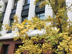 -星巴克(上海交通大学店)