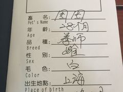 -申普宠物医院·心脏介入·心血管微创(总院)
