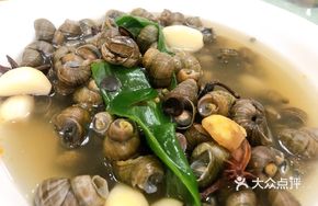 Salted Water Snail