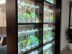 -北京中医药大学东直门医院(通州院区)