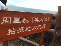 -杨梅坑