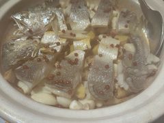 红胡椒焗东海黄鱼-晓粤·惹味粤菜(凯德乐峰广场店)