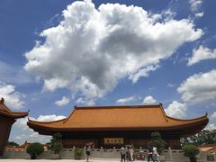 -深圳仙湖植物园