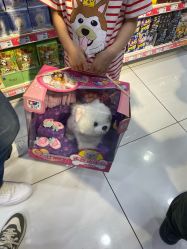 -玩具反斗城(正大广场店)