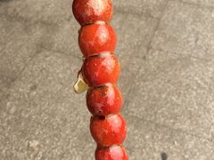 -和禄德冰糖葫芦