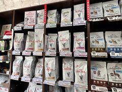 -瑞派·关忠动物医院·异宠专科·犬猫肿瘤·皮肤专科(望京店)
