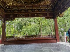 -汇龙潭