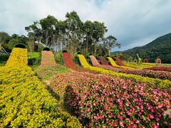 -广州市石门国家森林公园