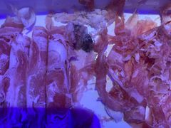 -蒙肥羊·酸汤潮牛·鲜牛肉火锅烤肉自助(岗顶店)