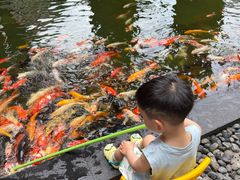 -三亚湾海居雅高铂尔曼度假酒店