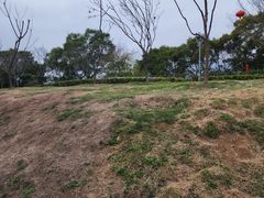 -金鸡山公园