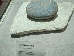 -南越王博物院(王宫展区)