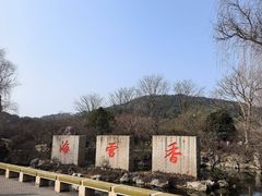 -香雪海