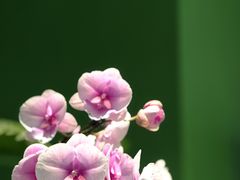 -友谊阳光城