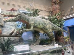 -国家自然博物馆