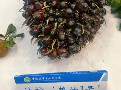 -南宁国际会展中心