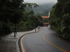 -深圳仙湖植物园
