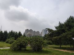 -长春公园(普阳街道)