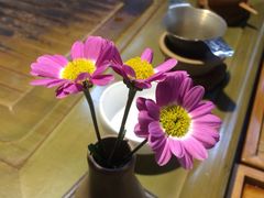 -新竹里馆·花园餐厅(兴苑路店)