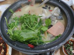 -老字号怡玺·藿香雅鱼(20年雅安店)