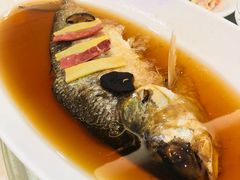 清蒸野生白水鱼-顺风海鲜港(金玉兰店)
