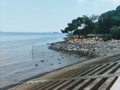 -上海吴淞炮台湾国家湿地公园