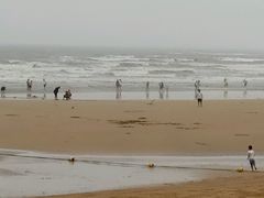 -日照海滨国家森林公园