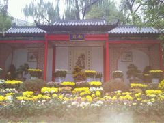 iphone_upload_pic-迎泽公园