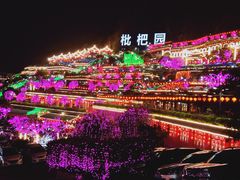 -枇杷园食为鲜火锅(南山店)
