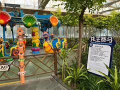 -南宫五洲植物乐园