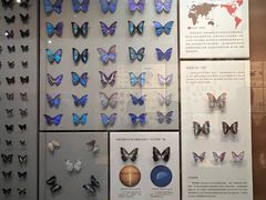 -天津自然博物馆