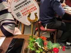 -小隐人家(乐松店)